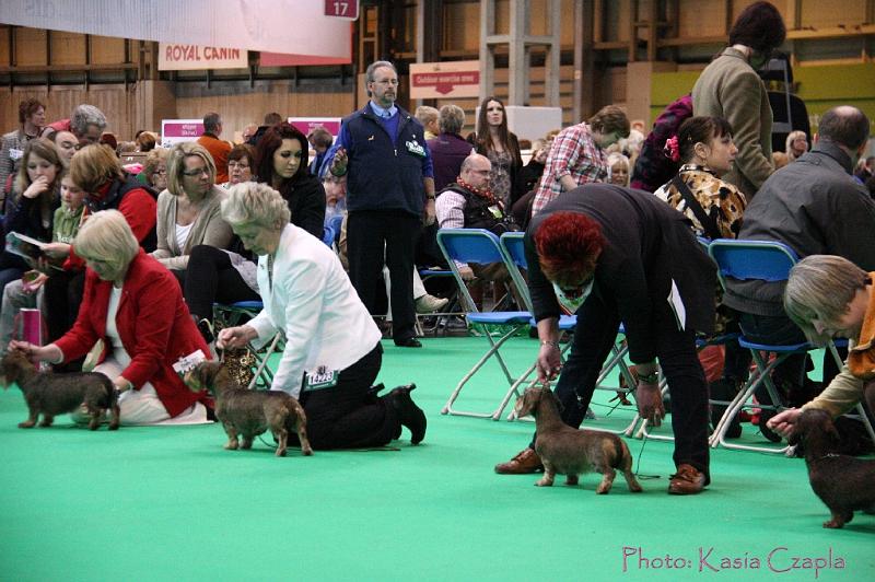 Crufts2011_2 1556.jpg